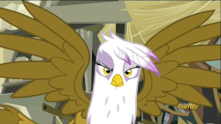 Size: 900x506 | Tagged: safe, screencap, gilda, griffon, g4, the lost treasure of griffonstone, angry, animated, annoyed, female, majestic, male, spread wings, upset