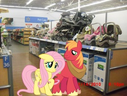 Size: 900x675 | Tagged: safe, big macintosh, fluttershy, earth pony, pony, g4, irl, male, photo, ponies in real life, ship:fluttermac, shipping, stallion, straight, walmart