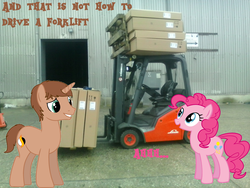 Size: 2048x1536 | Tagged: safe, pinkie pie, oc, oc:heroic armour, g4, eyelashes, forklift, how to, how to not, irl, photo, ponies in real life, professionalism, teaching