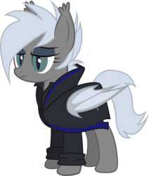 Size: 2550x3008 | Tagged: safe, artist:duskthebatpack, oc, oc only, oc:snow drift, bat pony, pony, clothes, frown, high res, jacket, robes, simple background, solo, transparent background, unamused, vector
