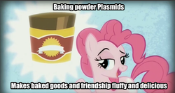 Size: 499x268 | Tagged: safe, screencap, pinkie pie, pony, g4, the lost treasure of griffonstone, baking powder, bioshock, raised eyebrow, solo