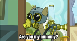 Size: 500x268 | Tagged: safe, edit, edited screencap, screencap, max raid, earth pony, pony, bloom and gloom, g4, cropped, doctor who, male, pest pony, solo