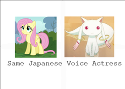 Size: 500x357 | Tagged: safe, fluttershy, g4, exploitable meme, incubator (species), kyubey, meme, puella magi madoka magica, same voice actor, slowpoke