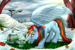 Size: 5520x3720 | Tagged: safe, artist:vinicius040598, rainbow dash, tank, g4, tanks for the memories, absurd resolution, backwards cutie mark, crepuscular rays, sleeping, snow, spread wings