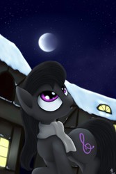 Size: 3444x5167 | Tagged: safe, artist:rameslack, octavia melody, g4, clothes, female, moon, night, scarf, solo, stars, wanderer d