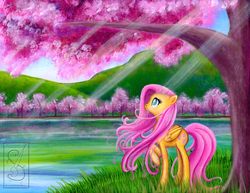Size: 1024x791 | Tagged: safe, artist:linkslove, fluttershy, g4, cherry blossoms, cottagecore, female, lake, solo, traditional art, tree