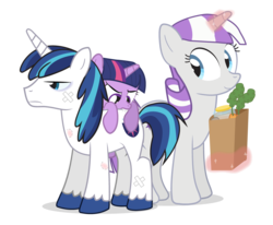 Size: 1020x840 | Tagged: safe, artist:dm29, shining armor, twilight sparkle, twilight velvet, pony, unicorn, g4, bandage, bite mark, biting, brother and sister, bruised, butt bite, child, daughter, female, filly, filly twilight sparkle, foal, groceries, horses doing horse things, levitation, magic, male, mare, mother, mother and child, mother and daughter, mother and son, siblings, simple background, son, stallion, transparent background, trio, unamused, unicorn twilight, younger