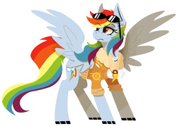 Size: 1280x916 | Tagged: safe, artist:wirelesspony, rainbow dash, g4, female, solo, sunglasses