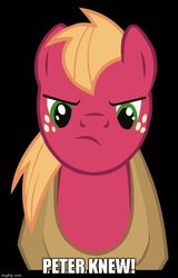 Size: 490x765 | Tagged: safe, big macintosh, earth pony, pony, g4, angry, image macro, male, meme, peter new, pun, stallion, voice actor joke