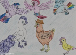 Size: 900x650 | Tagged: safe, artist:sketch-shepherd, applejack, fluttershy, pinkie pie, rainbow dash, rarity, twilight sparkle, bird, chicken, dove, falcon, owl, parrot, peacock, peregrine falcon, g4, birdified, hen, mane six, my little x, rainbird dash, species swap, traditional art