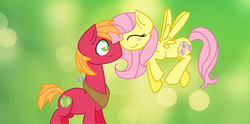 Size: 1460x724 | Tagged: safe, artist:semperfelicem, big macintosh, fluttershy, earth pony, pony, g4, blushing, boop, male, ship:fluttermac, shipping, stallion, straight