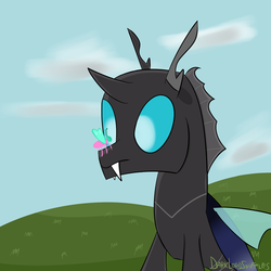 Size: 1500x1500 | Tagged: safe, artist:darklordsnuffles, changeling, insect, cloud, grass, insect on nose, simple background, solo, stare, wings