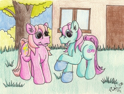 Size: 2092x1582 | Tagged: safe, artist:kohala8, minty, pinkie pie (g3), earth pony, pony, g3, 2008, bush, clothes, day, duo, duo female, female, grass, house, mare, socks, traditional art, tree