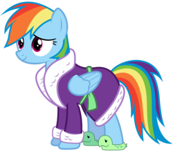Size: 10000x8800 | Tagged: safe, artist:mpnoir, rainbow dash, g4, tanks for the memories, .svg available, absurd resolution, bathrobe, clothes, female, rainbow dash always dresses in style, show accurate, simple background, solo, tank slippers, transparent background, vector