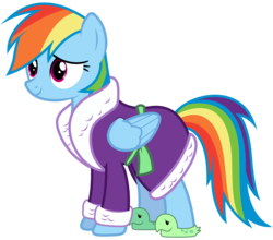 Size: 10000x8800 | Tagged: safe, artist:mpnoir, rainbow dash, g4, tanks for the memories, .svg available, absurd resolution, bathrobe, clothes, female, rainbow dash always dresses in style, robe, show accurate, simple background, solo, tank slippers, transparent background, vector