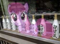Size: 650x475 | Tagged: safe, artist:drpain, berry punch, berryshine, g4, alcohol, irl, japanese, liquor, photo, ponies in real life, reflection, sake, window