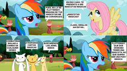 Size: 960x543 | Tagged: safe, fluttershy, rainbow dash, g4, cardcaptor sakura, comic strip, incubator (species), kerberos, kyubey, meme, puella magi madoka magica, spanish, yuuno scrya