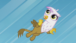 Size: 1920x1080 | Tagged: safe, screencap, gilda, griffon, g4, the lost treasure of griffonstone, chickub, female, flying, li'l gilda, solo, success