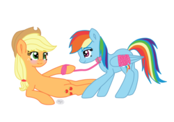 Size: 1024x720 | Tagged: safe, artist:flyler02, applejack, rainbow dash, earth pony, pegasus, pony, g4, blushing, bound wings, collar, female, lesbian, pet play, ship:appledash, shipping