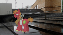 Size: 1920x1080 | Tagged: safe, artist:purpletoad, big macintosh, earth pony, pony, g4, building, freckles, hay, irl, male, photo, ponies in real life, rain, solo, stairs, stallion, steps, vector