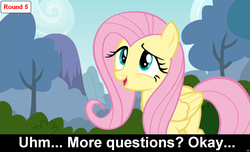 Size: 1600x973 | Tagged: safe, fluttershy, pegasus, pony, comic:celestia's servant interview, g4, caption, cs captions, female, interview, mare, solo