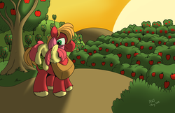 Size: 5100x3300 | Tagged: safe, artist:naivewolfjosh, apple bloom, big macintosh, earth pony, pony, g4, apple bloom riding big macintosh, male, ponies riding ponies, riding, sleeping, stallion, sunset, sweet apple acres