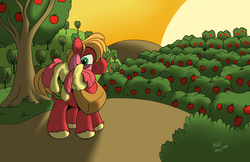 Size: 5100x3300 | Tagged: safe, artist:naivewolfjosh, apple bloom, big macintosh, earth pony, pony, g4, male, ponies riding ponies, riding, sleeping, stallion, sunset, sweet apple acres