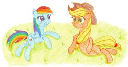 Size: 1000x529 | Tagged: safe, artist:umejiru, applejack, rainbow dash, g4, backwards cutie mark