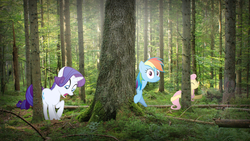 Size: 3840x2160 | Tagged: safe, artist:germanmcpictures, artist:navitaserussirus, artist:scrimpeh, artist:terkois, fluttershy, rainbow dash, rarity, g4, forest, hide and seek, high res, irl, photo, ponies in real life, vector