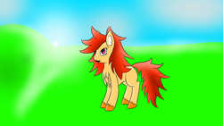 Size: 1920x1080 | Tagged: safe, oc, oc only, earth pony, pony, chest fluff, female, mare, red hair, solo, unshorn fetlocks