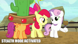 Size: 800x450 | Tagged: safe, edit, edited screencap, screencap, apple bloom, scootaloo, sweetie belle, appleoosa's most wanted, g4, animated, cactus hat, cutie mark crusaders, female, giant hat, hat, image macro, meme