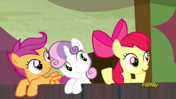 Size: 1280x720 | Tagged: safe, screencap, apple bloom, scootaloo, sweetie belle, pony, appleoosa's most wanted, g4, my little pony: friendship is magic, cutie mark crusaders, derp