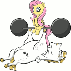 Size: 645x639 | Tagged: safe, artist:skunkdj, bulk biceps, fluttershy, equestria games (episode), g4, animated, bench press, cute, duo, female, gif, gritted teeth, male, on back, ship:flutterbulk, shipping, sitting, smiling, straight, weight lifting