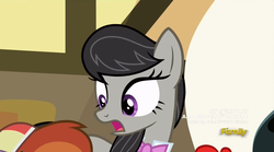 Size: 1275x709 | Tagged: safe, screencap, apple bloom, button mash, octavia melody, g4, season 5, slice of life (episode), 100th episode, d:, frown, open mouth, wide eyes