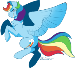 Size: 1000x900 | Tagged: safe, artist:kittyisawolf, rainbow dash, g4, backwards cutie mark, female, solo