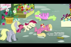 Size: 960x640 | Tagged: safe, screencap, daisy, derpy hooves, flower wishes, lily, lily valley, roseluck, pegasus, pony, g4, slice of life (episode), bouquet, female, flower trio, mare, playing dead, rose, the horror