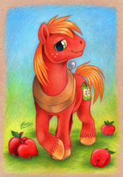 Size: 600x864 | Tagged: safe, artist:macgreen, big macintosh, earth pony, pony, g4, apple, male, smiling, solo, stallion