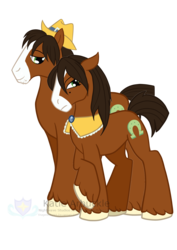 Size: 2507x3541 | Tagged: safe, artist:stagetechyart, trouble shoes, earth pony, pony, g4, duality, female, high res, looking down, male, mare, r63 paradox, rule 63, self ponidox, simple background, stallion, transparent background, troubleheels clara, unshorn fetlocks, vector, watermark