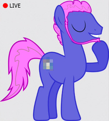 Size: 428x477 | Tagged: safe, oc, oc only, pony, censored, male, mosaic censor, original character do not steal, prank, stallion, vector, wat