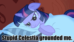 Size: 960x540 | Tagged: safe, twilight sparkle, g4, female, grounded, grumpy twilight, image macro, meme, solo