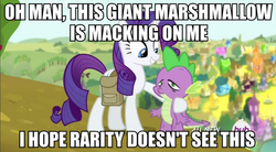 Size: 906x500 | Tagged: safe, edit, edited screencap, screencap, rarity, spike, dragon, pony, unicorn, g4, caption, female, image macro, implied shipping, male, mare, meme, rarity is a marshmallow, saddle bag, stoner spike