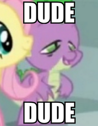 Size: 350x450 | Tagged: safe, edit, edited screencap, screencap, fluttershy, spike, friendship is magic, g4, dude, image macro, meme, stoner spike