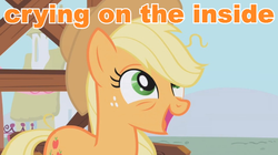 Size: 643x360 | Tagged: safe, applejack, g4, crying inside, female, image macro, meme, solo