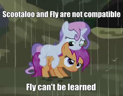 Size: 501x392 | Tagged: safe, screencap, scootaloo, sweetie belle, pegasus, pony, unicorn, appleoosa's most wanted, g4, caption, duo, duo female, female, image macro, meme, pokémon, ponies riding ponies, rain, riding, scootaloo can't fly, sweetie belle riding scootaloo, text, wet, wet mane, wet mane scootaloo, wet mane sweetie belle