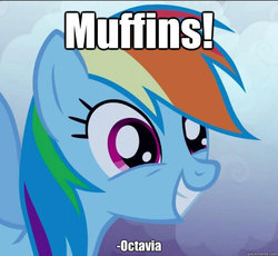 Size: 625x576 | Tagged: safe, rainbow dash, g4, female, meme, muffin, solo, troll quote