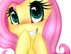 Size: 1024x768 | Tagged: safe, artist:suenden-hund, fluttershy, g4, blushing, female, smiling, solo