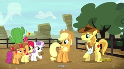 Size: 1279x715 | Tagged: safe, screencap, apple bloom, applejack, braeburn, scootaloo, sweetie belle, earth pony, pegasus, pony, unicorn, appleoosa's most wanted, g4, cutie mark crusaders, female, filly, foal, injured, male, mare, meme, stallion, youtube caption