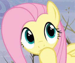 Size: 704x591 | Tagged: safe, screencap, fluttershy, pegasus, pony, g4, season 5, tanks for the memories, animated, blinking, cute, female, frown, shyabetes, solo, thinking
