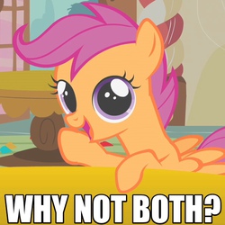 Size: 600x600 | Tagged: safe, edit, edited screencap, screencap, scootaloo, pegasus, pony, call of the cutie, g4, season 1, caption, female, filly, image macro, meme, open mouth, open smile, raised hoof, reaction image, small wings, smiling, solo, spread wings, why not both, wings
