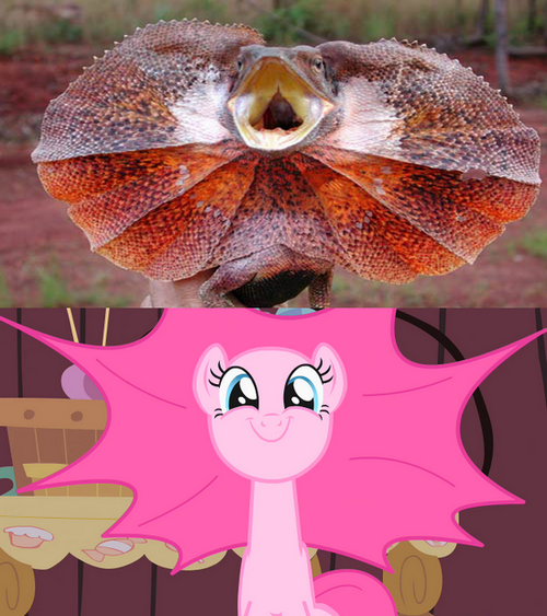 #889452 - safe, edit, screencap, pinkie pie, frilled lizard, lizard ...
